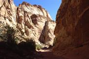 capitol Reef Gorge