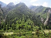 vallée de Langtang