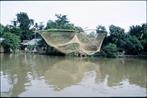 filets chinois delta du Mekong