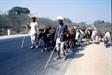 troupeau sur la route vers Kota