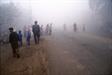 brouillard au Punjab