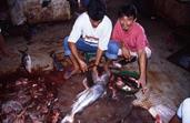 marché aux poissons Sandakan