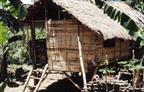 maisonnette de bambou