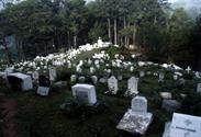 Sagada cimetière