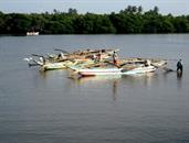 retour de pêche Negombo