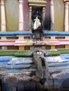 temple Gokana