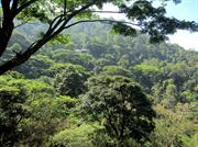 paysage entre Kandy et Dambulla