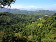 paysage entre Kandy et Dambulla