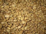 grains de café nettoyés et séchés