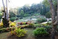 Mae Fah Luang jardins royaux
